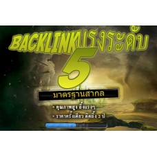 แพคเกจ Backlink ระดับ 5 - เว็บที่ E543