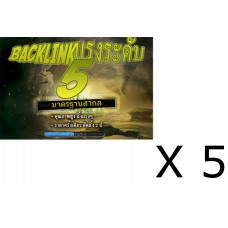 Backlink ระดับ 5 - 5 แพคเกจ (E530-E534) - ของหมด